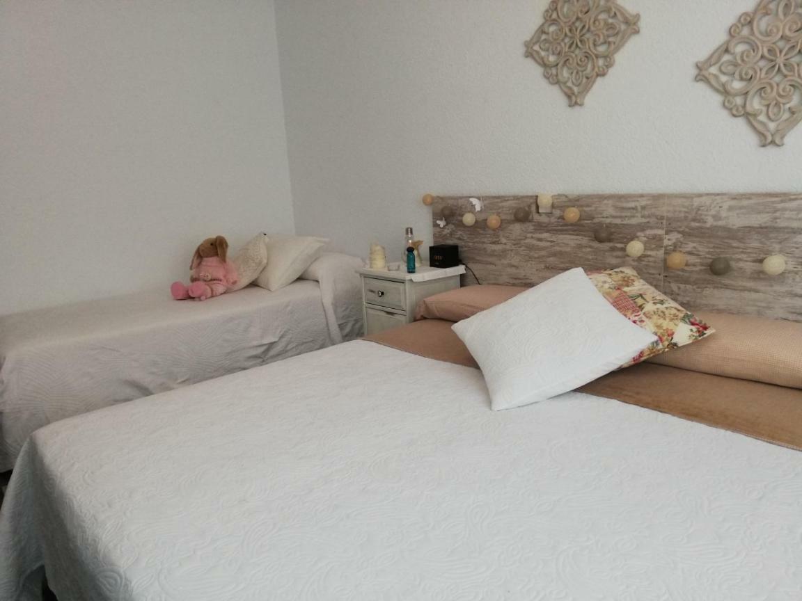 Cactus Appartement