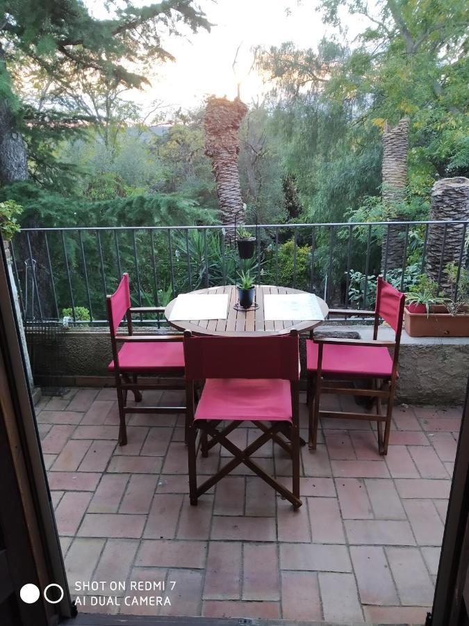 Cactus Appartement